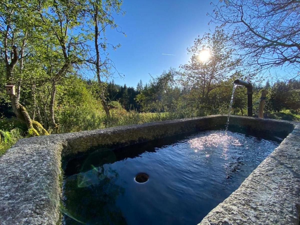Ferienhaus Klause Neureichenau Exteriér fotografie